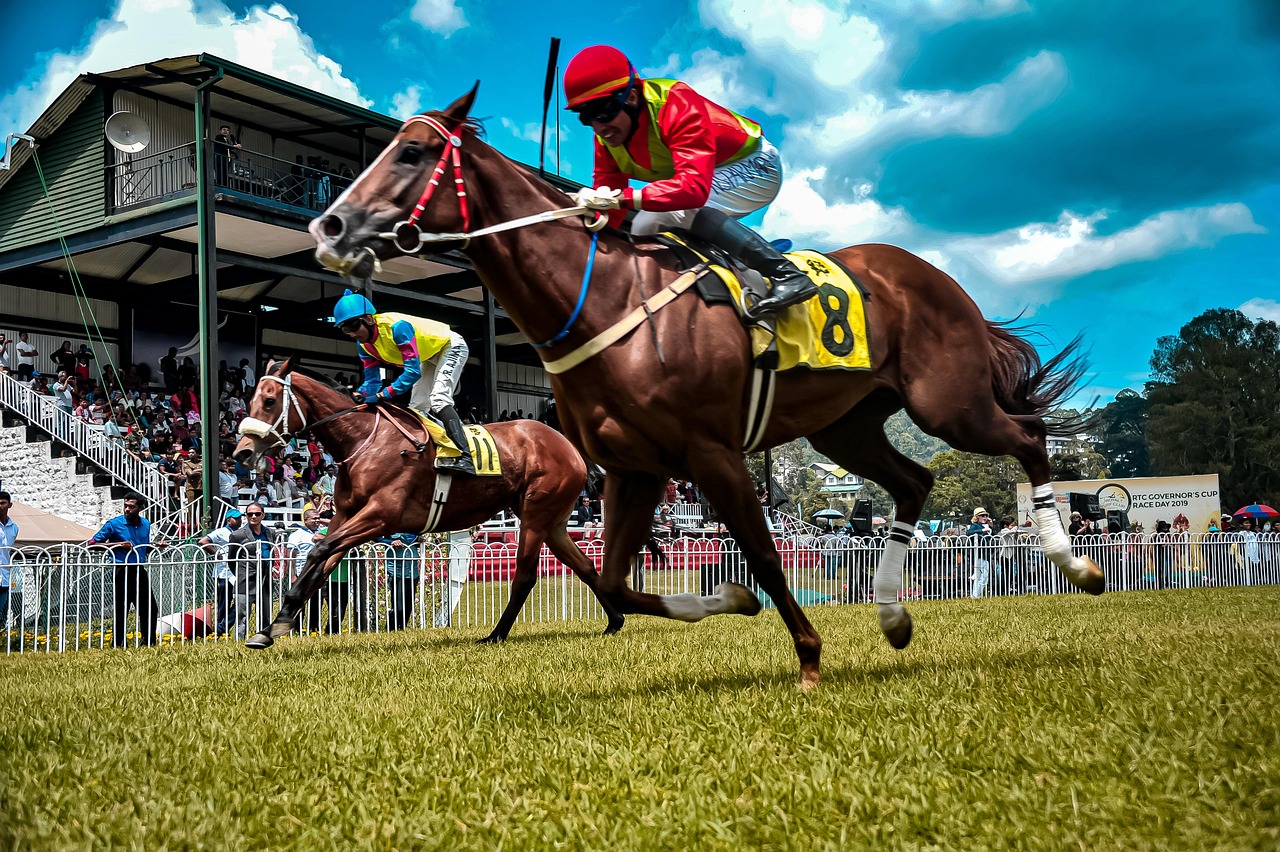 Jockeys racing towards the finish