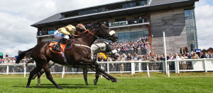 Ladies-Night-at-Carlisle-Racecourse