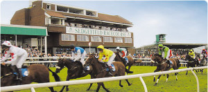 Sedgefieldj