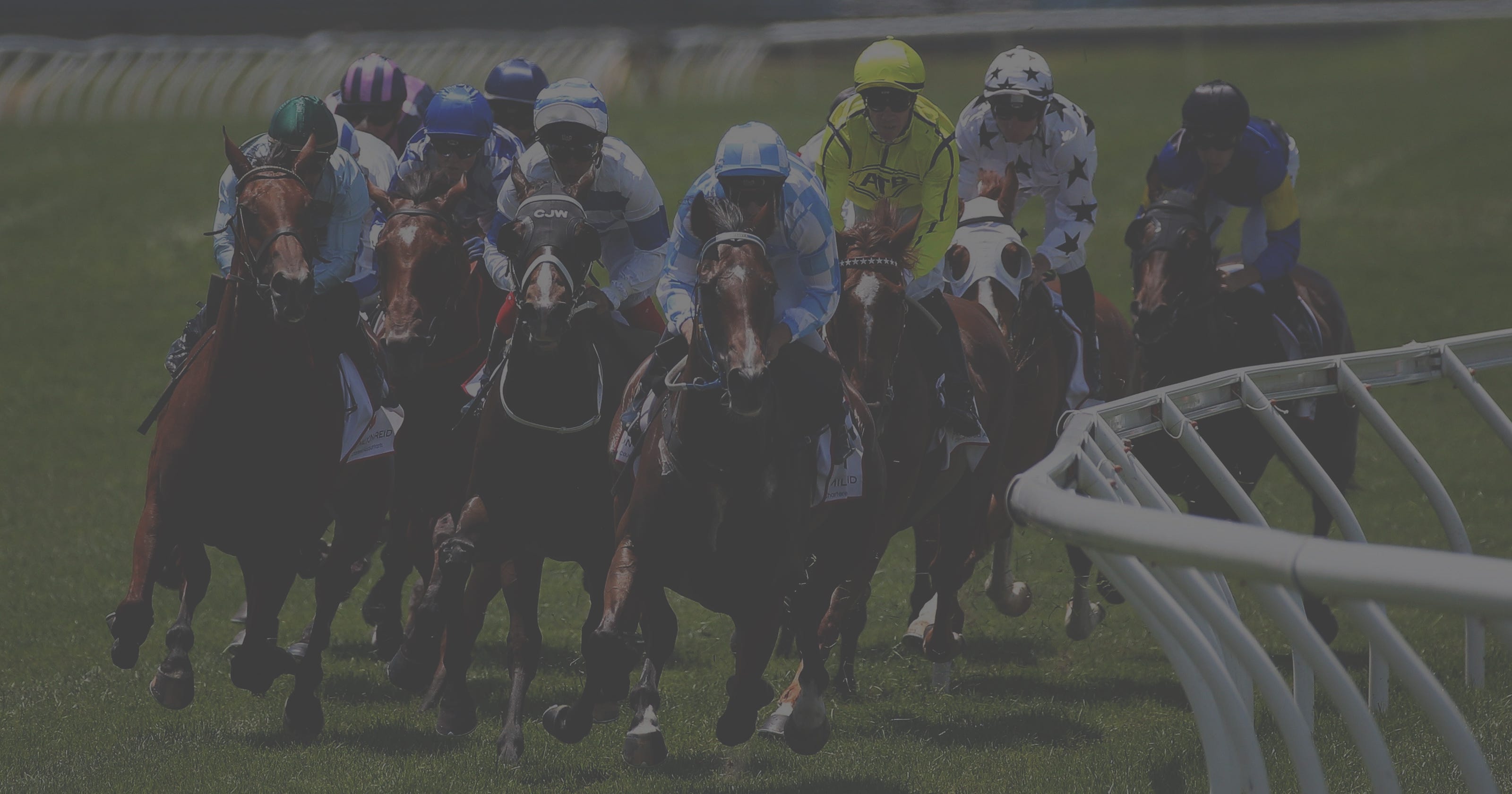 Racehorses and jockeys rounding the bend